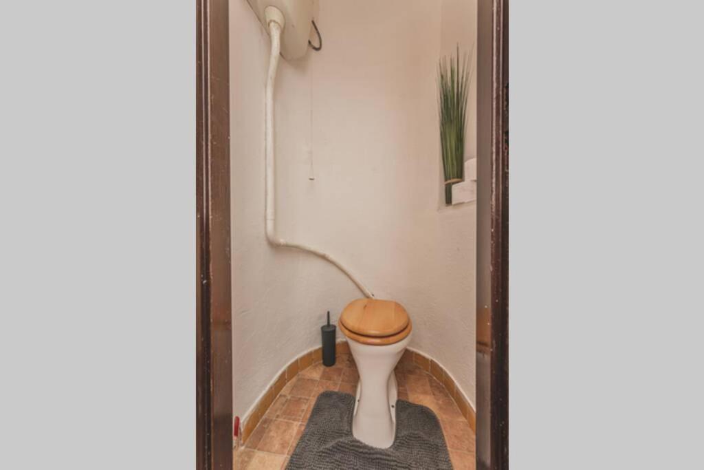 Carolina'S Central Apartment Hradec Králové Zewnętrze zdjęcie